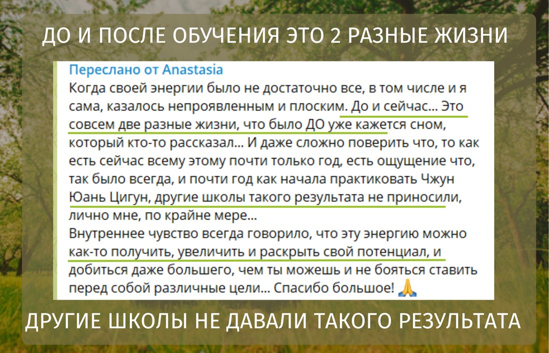 Отзыв: до и после обучения — две разные жизни